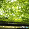 屋根上の世界