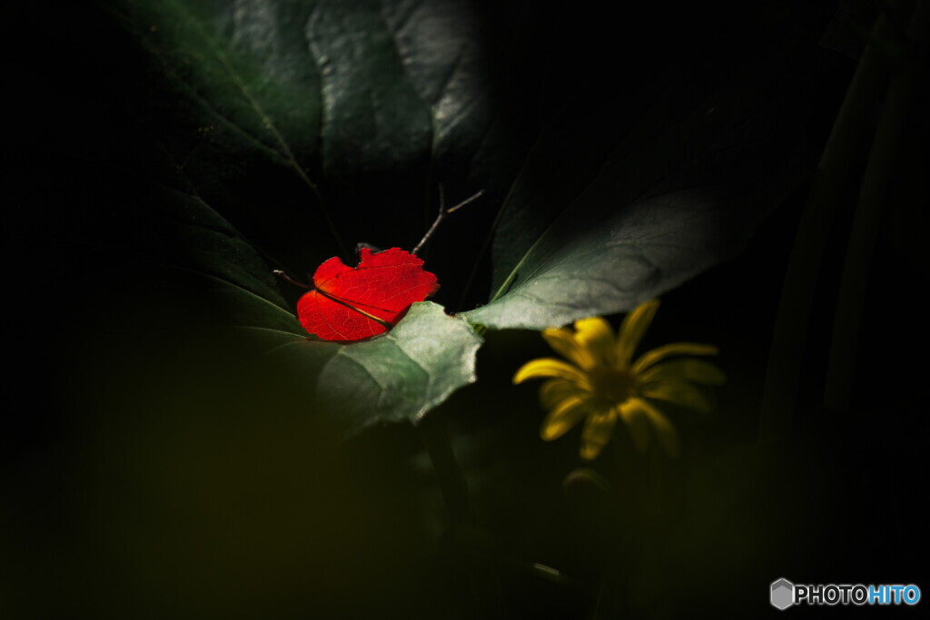 赤いペンダント