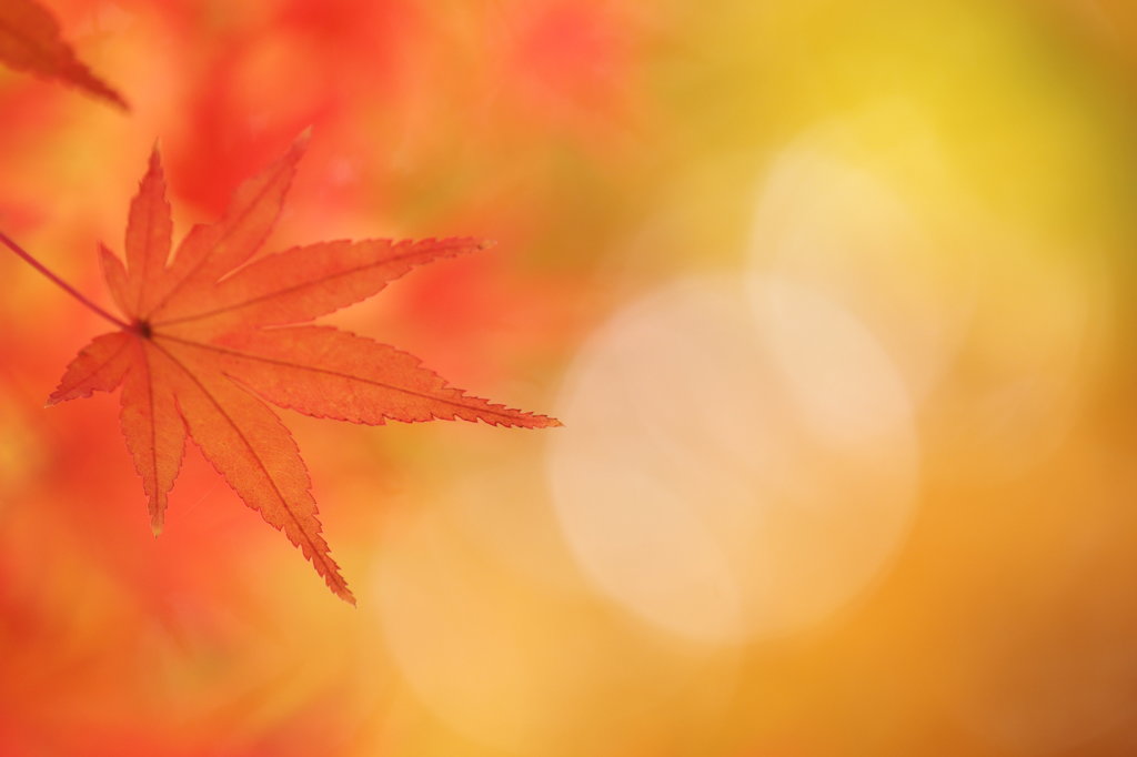 紅吐息