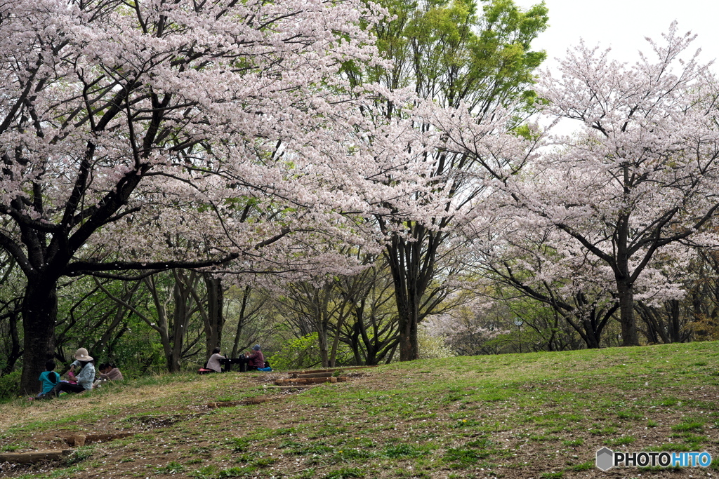 花送り