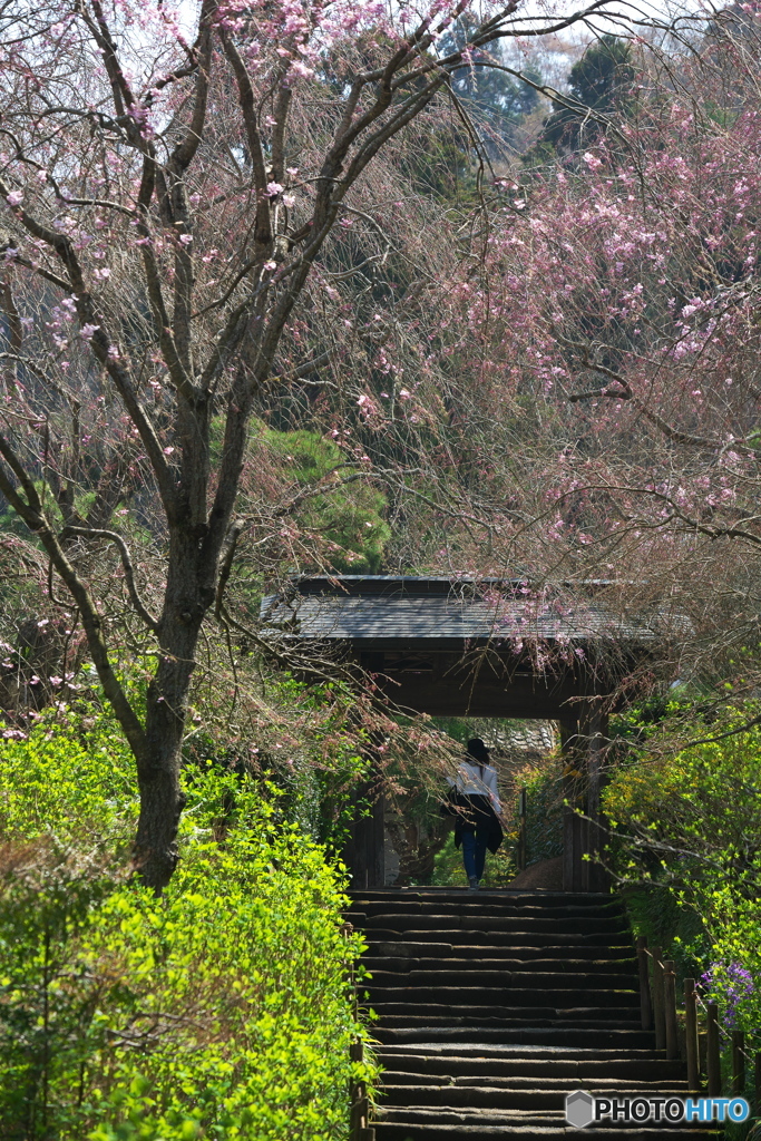 古刹逍遥