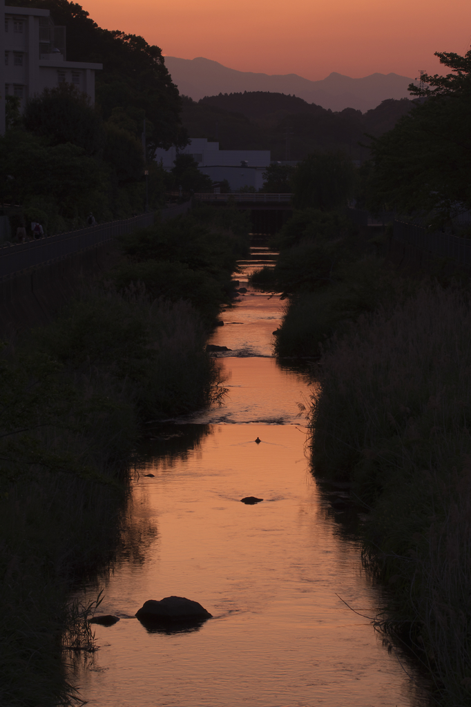 独り旅