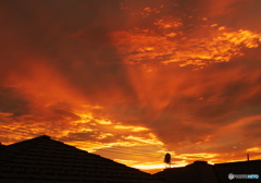 今日の夕景