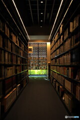 図書館にてⅡ