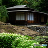 裏庭も美しい