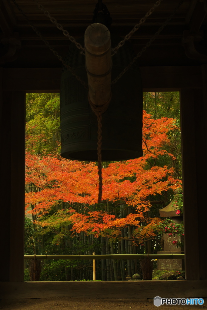 鎌倉Now12（報国寺2）