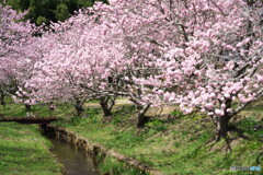 素敵に撮ってね