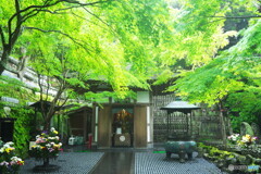 長谷寺より