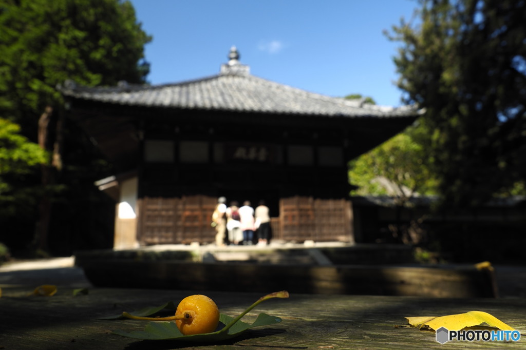 秋深まりゆく（浄智寺）