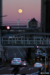 満月の見える街角