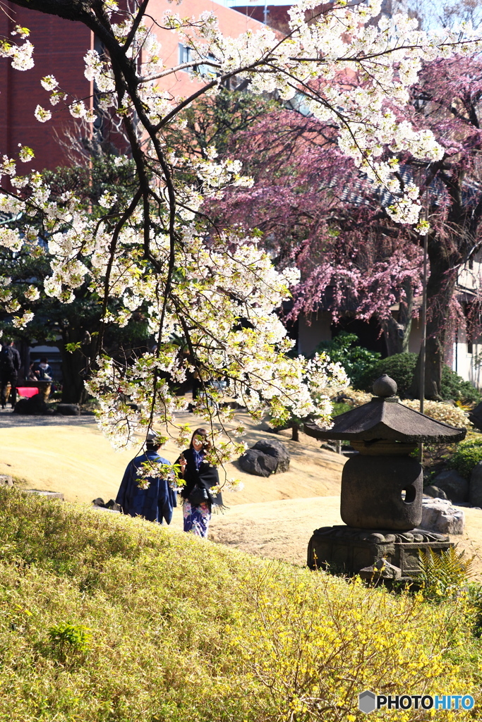 春そぞろ04（浅草寺）