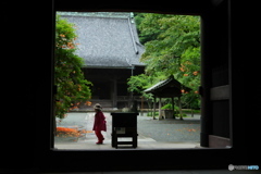 小雨のお散歩