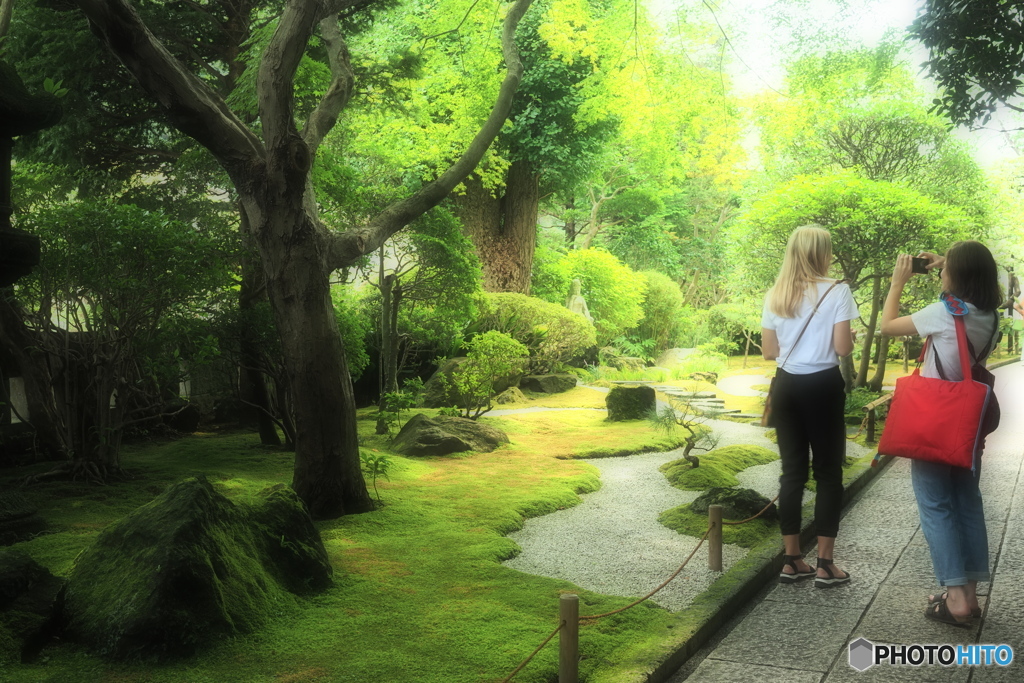 良いの撮れましたか28（報国寺)