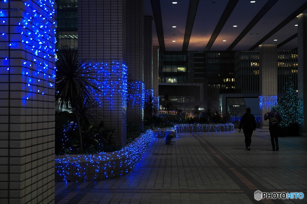 青いイルミに導かれて