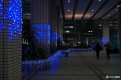 青いイルミに導かれて