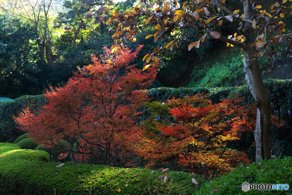 お話ししてるのかな