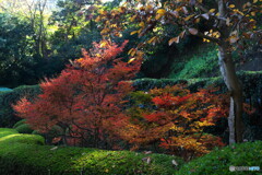 お話ししてるのかな