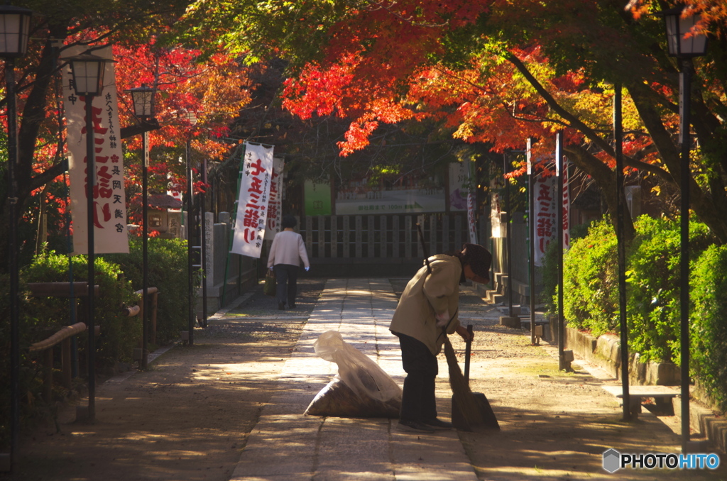 長岡天神秋色(2010年11月)