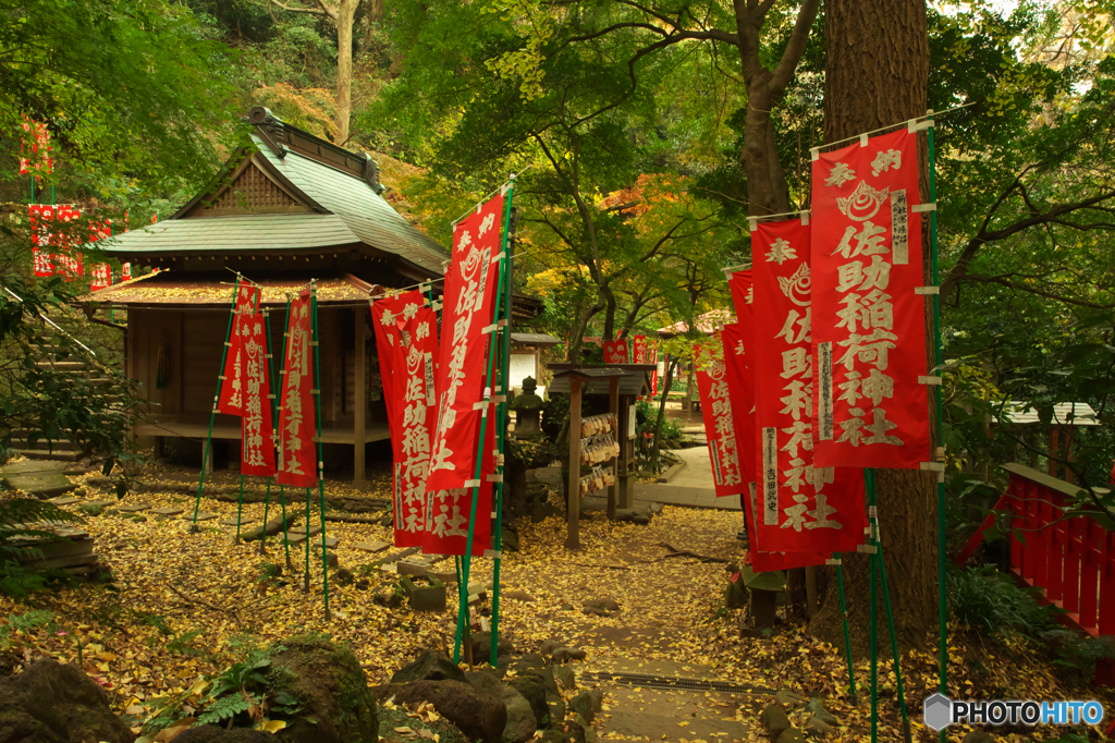 佐助の秋