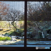 初春の光を楽しむ