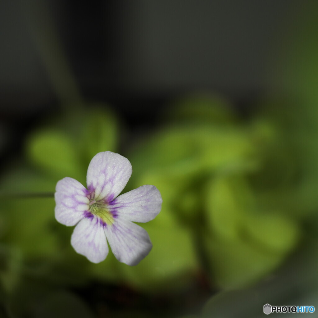 引き寄せられちゃう