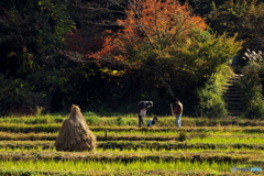 里山秋景色