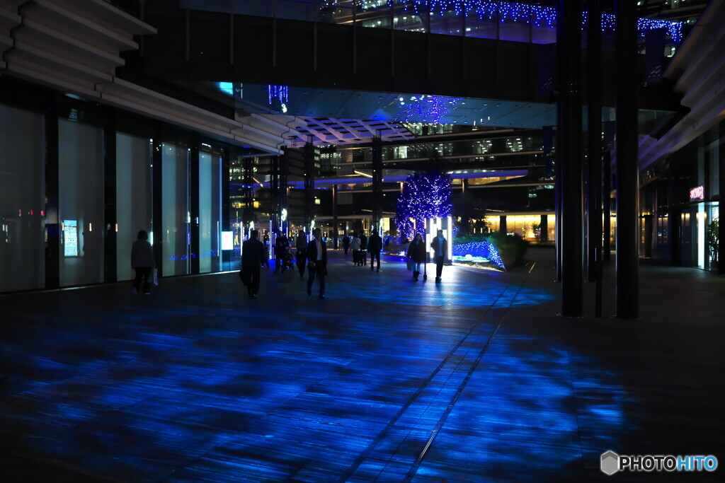 青い光に導かれてⅡ