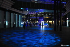 青い光に導かれてⅡ