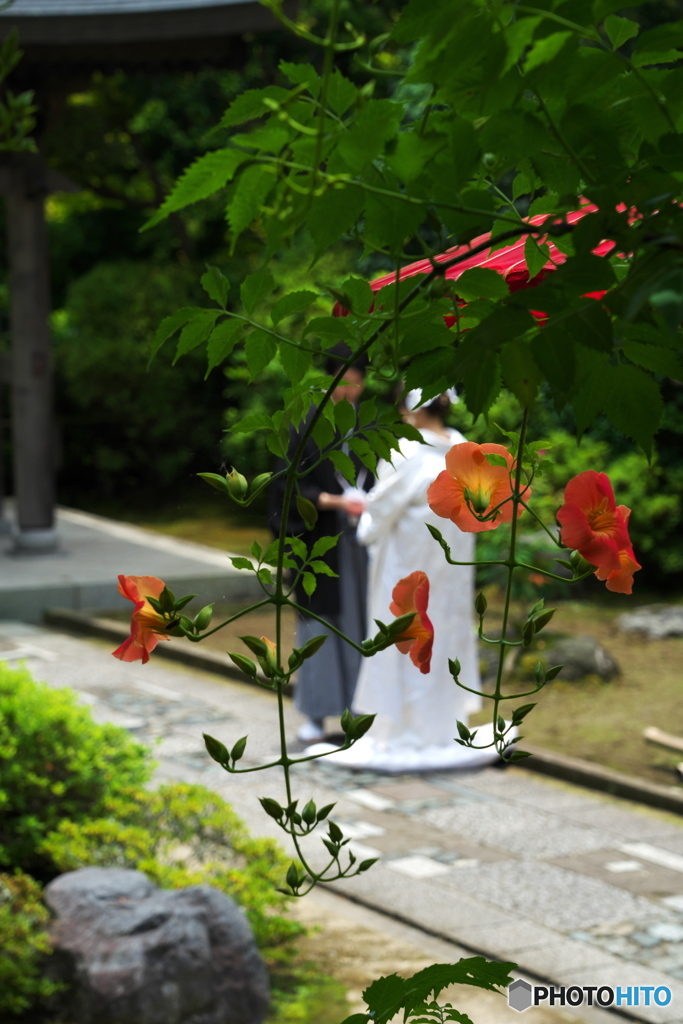 お幸せに