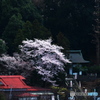 天満宮を飾る
