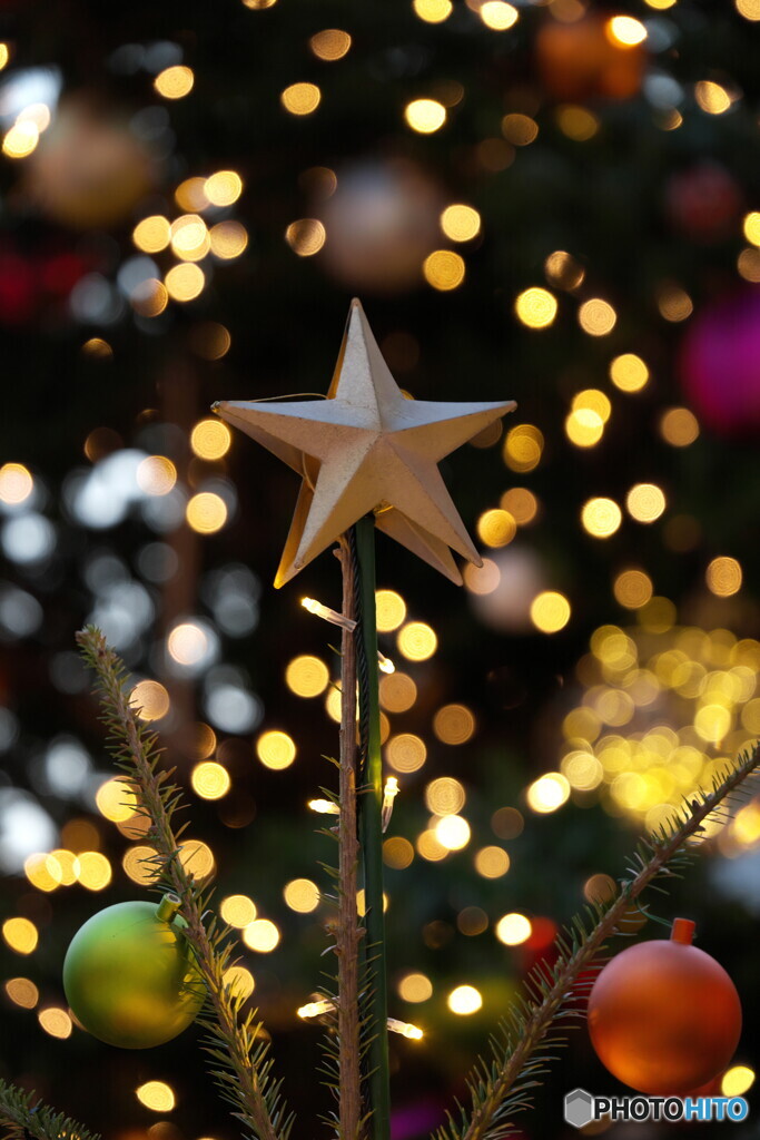 星を飾って見たけれど