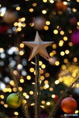 星を飾って見たけれど