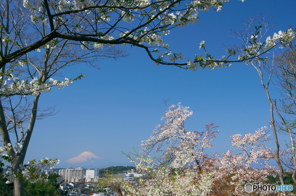里山の春Ⅱ