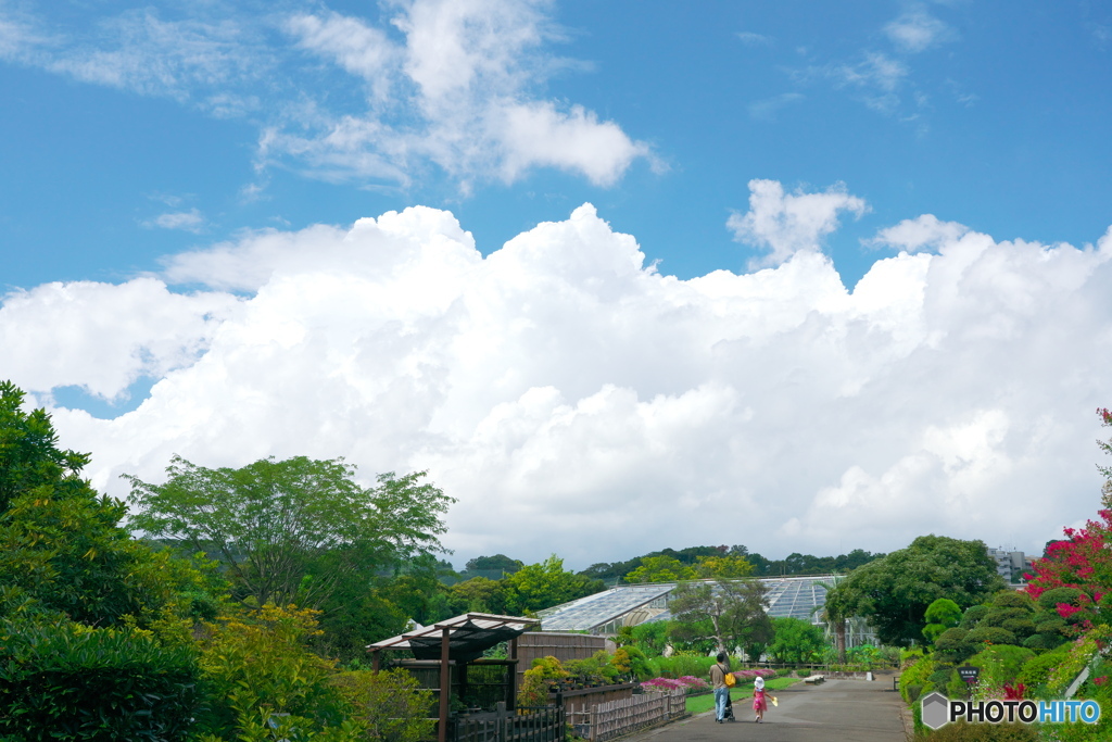 行く夏を惜しんで