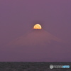 パールに魅かれて（三浦半島秋谷）