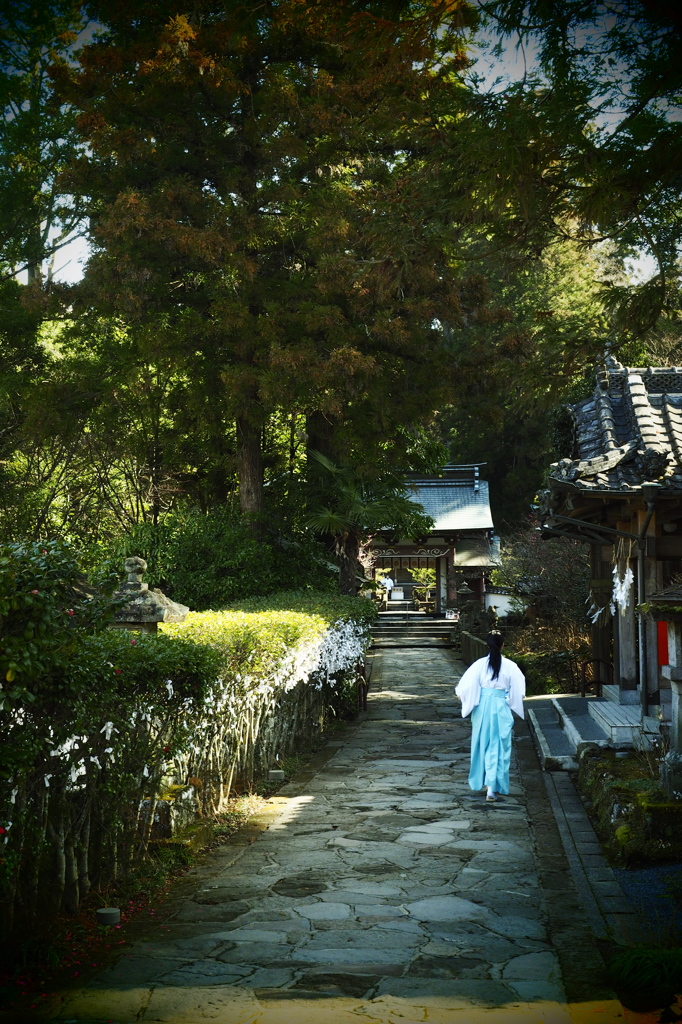 湯布院のお社