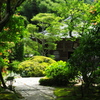 夏便り