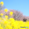 春  実感
