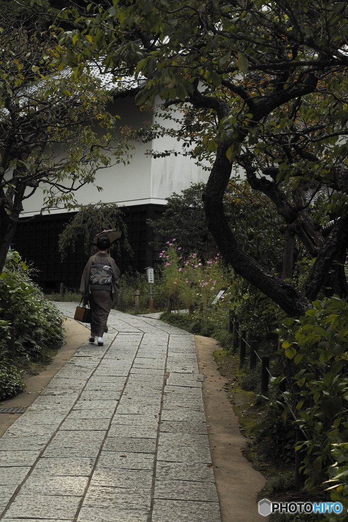 鎌倉そぞろ（東慶寺）