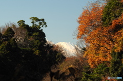 富士憧憬23（瑞泉寺）