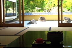 一休み