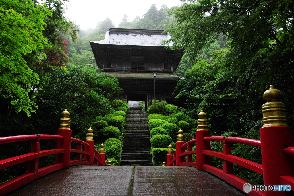 雨中紅栄