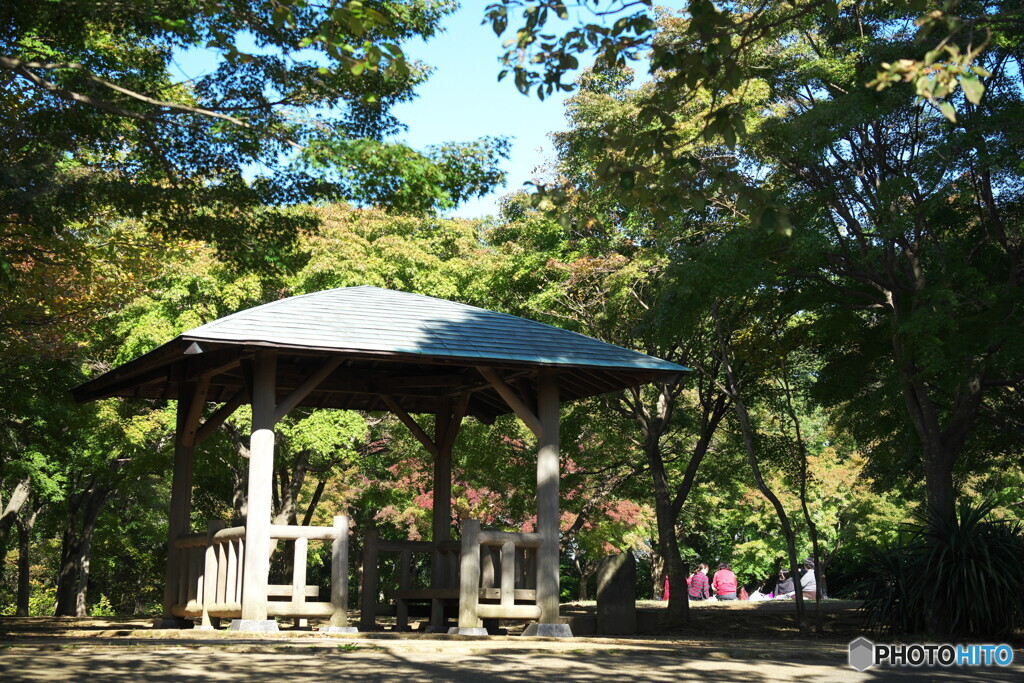 小春日和