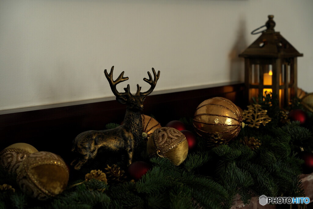 トナカイさんもいるね