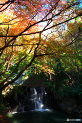 滝の見える秋