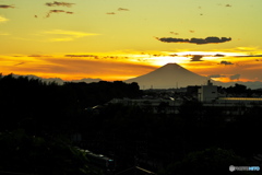 電車も見える富士夕景