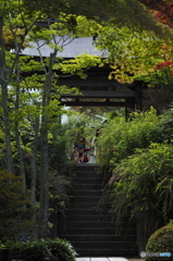 海蔵寺Now