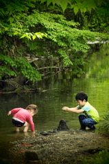 水辺の季節