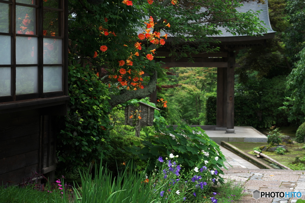 花は移りてⅡ