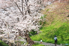 ほのぼの時間